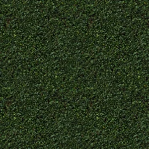 Hedge 23