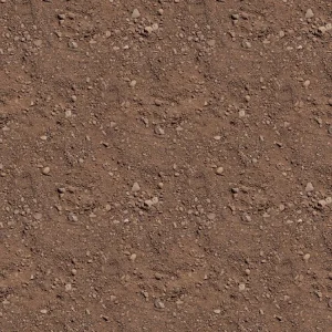 Ground 25