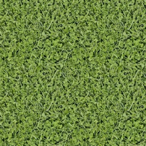 Grass 27