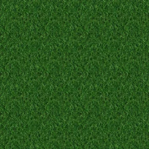 Grass 26