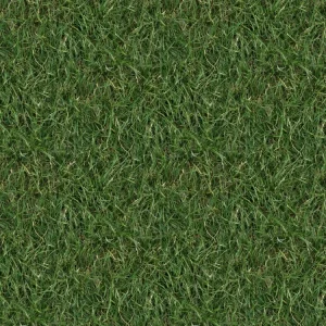 Grass 22