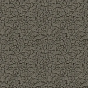 Cracked Mud
