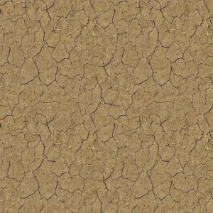 Cracked Dirt