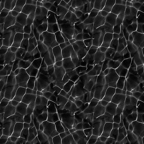 Black Water 22