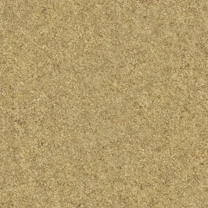 Beach Sand