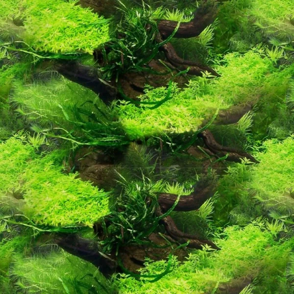 Aquarium Background