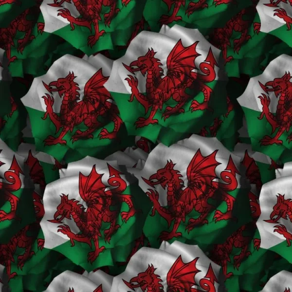 Welsh Flag Rose