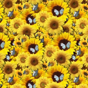 Sunflowers and Butterflies 23