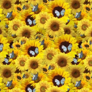 Sunflowers and Butterflies 22