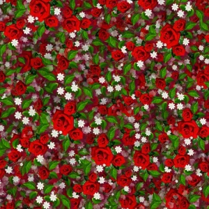 Roses 21