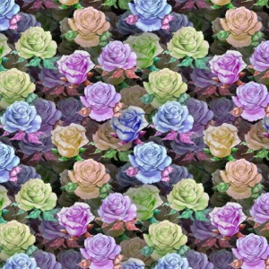 Rose Crazy 23