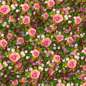 Pink Roses 20
