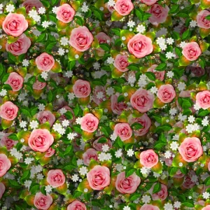 Pink Roses 19