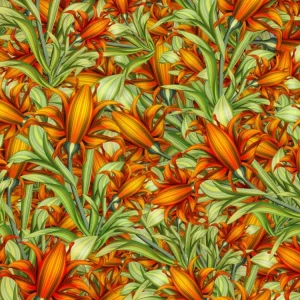 Orange Lilies