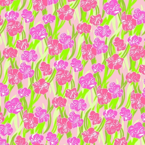 Lilly Gladiolas