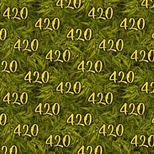 Kush Jungle 24