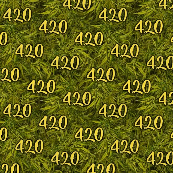 Kush Jungle 24