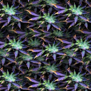 HypnoFlower