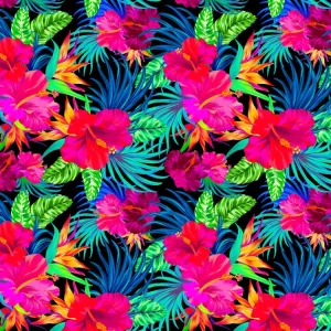 Hibiscus 22