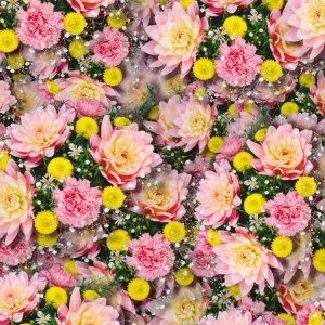 Fairy Flowers