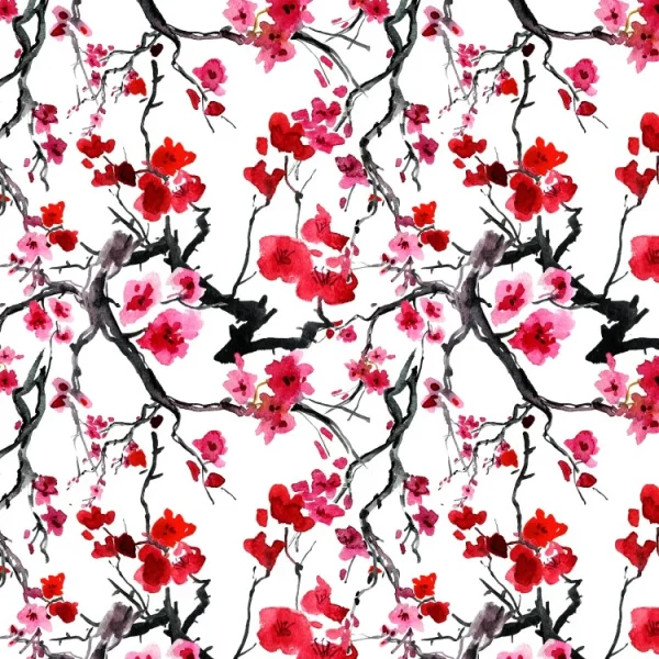 Cherry Blossoms 25