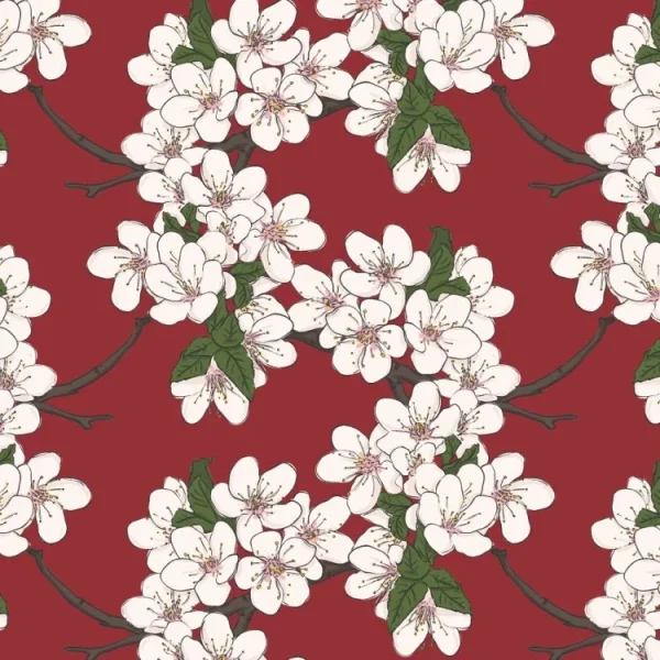 Cherry Blossoms 23
