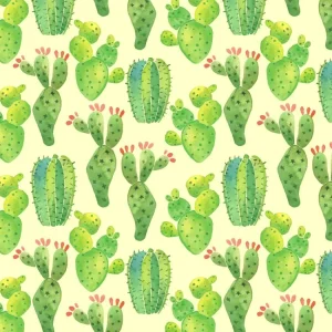Cactus Watercolor 22