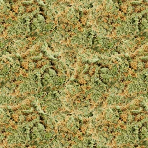 Bud 24 Camouflage