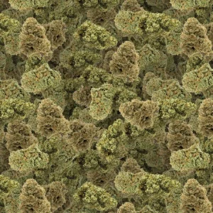 Bud 23 Camouflage
