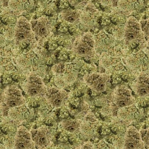 Bud 22 Camouflage
