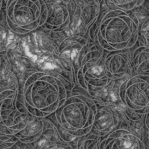 Bed of Thorns 22