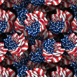 American Flag Rose