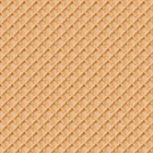 Waffle Cone 22