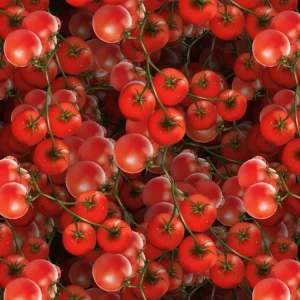 Tomatoes 22