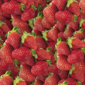 Strawberries 22