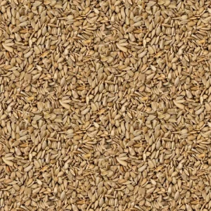 Seeds