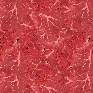 Raw Beef 22