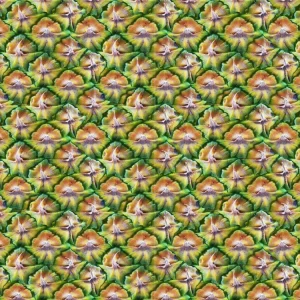 Pineapple Skin 22