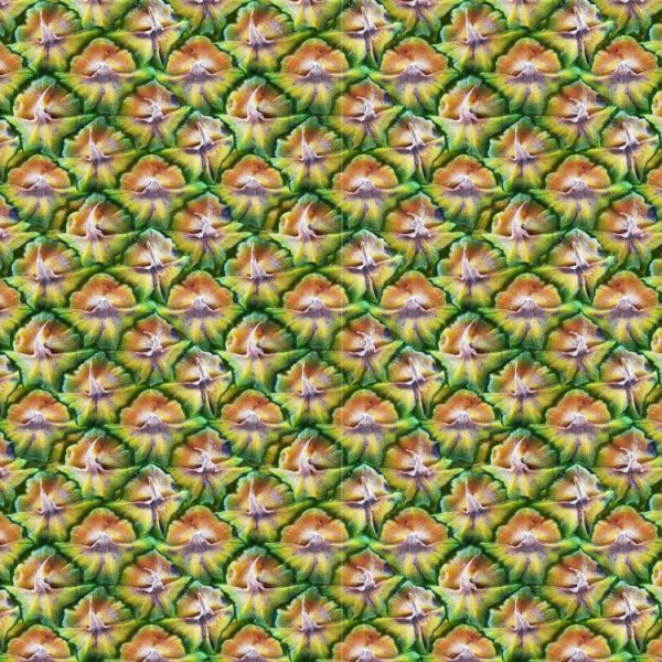 Pineapple Skin 22 – Pattern Crew