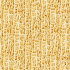 Peanut Skin 22