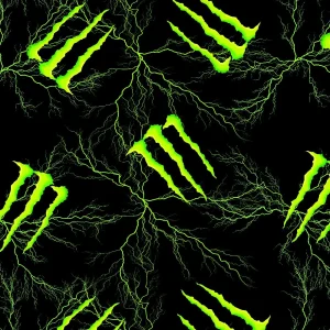 Monster Energy 24