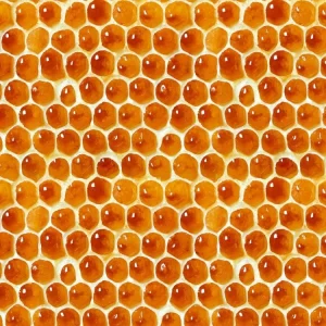 Honeycomb 22