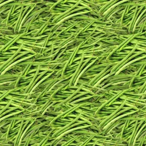 Green Beans 22