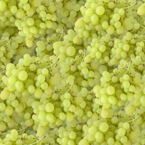 Grapes 22