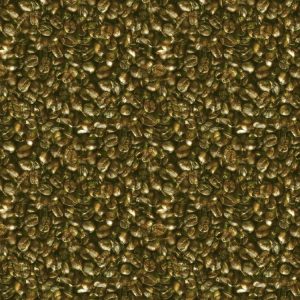 Coffee Bean Camouflage Coffee Bean Camouflage