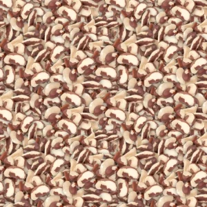Brazil Nuts