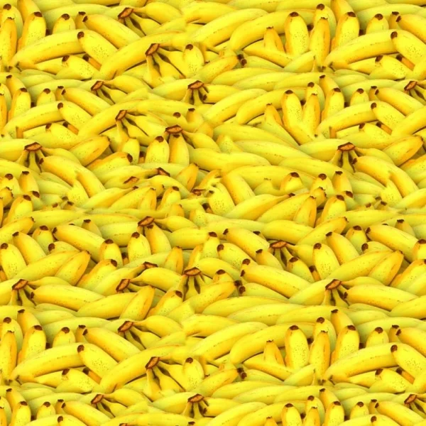 Bananas 23