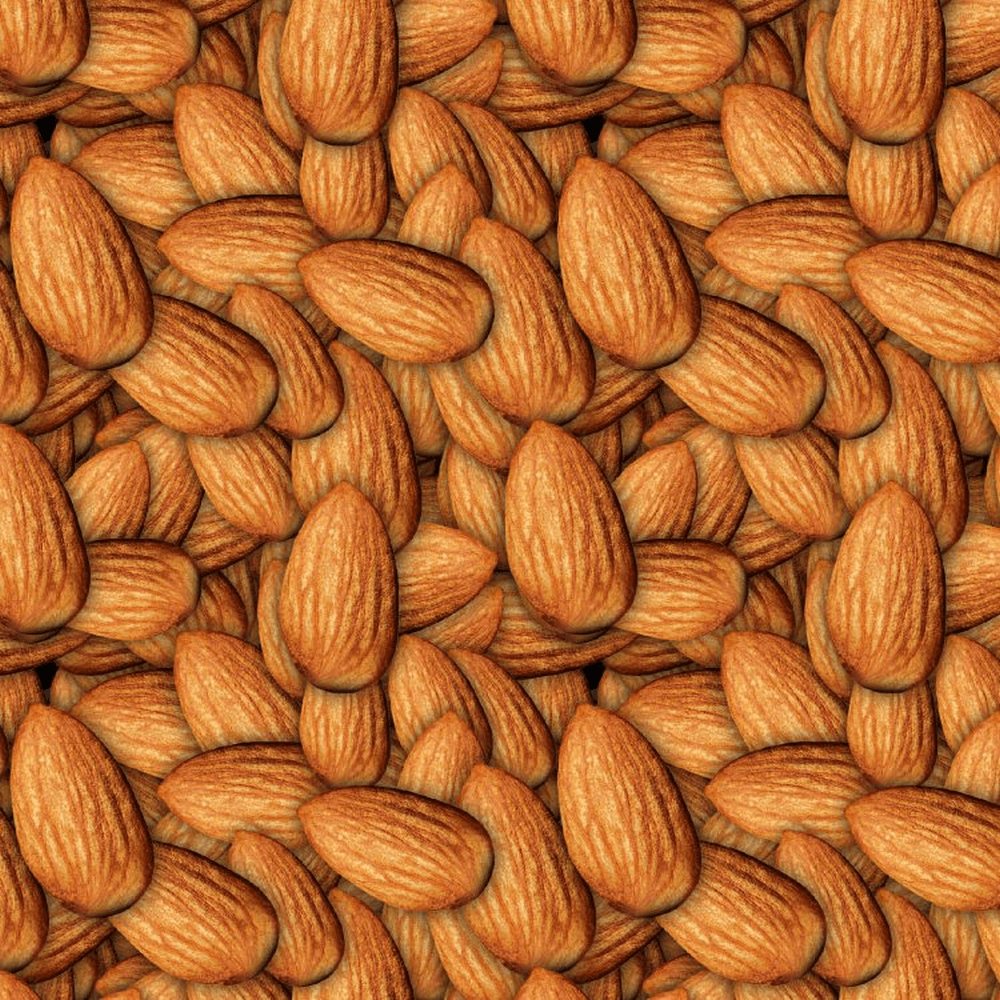 Almonds Pattern Crew