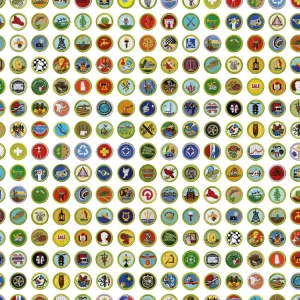 Scouting Merit Badges 22