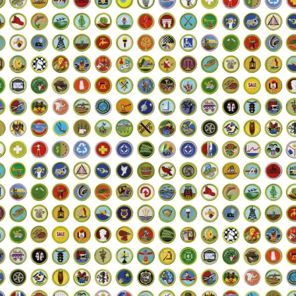 Scouting Merit Badges 22